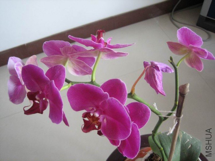��Ƭ 076.jpg