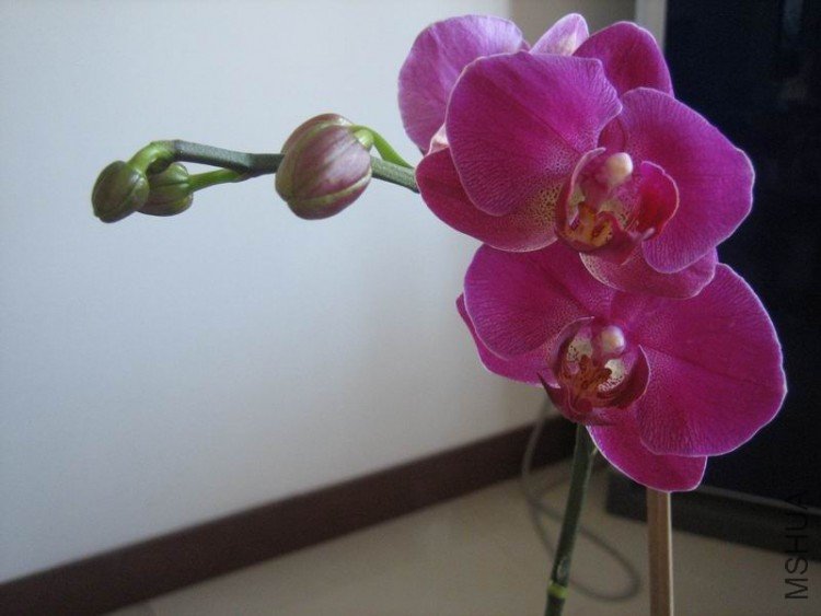 ��Ƭ 036.jpg