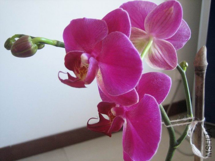 ��Ƭ 039.jpg