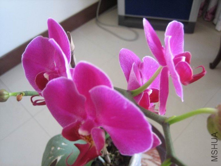 ��Ƭ 048.jpg