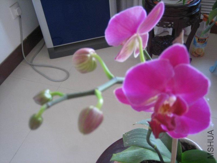 ��Ƭ 041.jpg