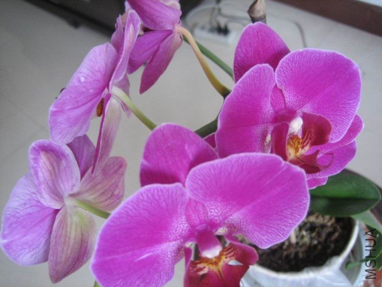 ��Ƭ 068.jpg