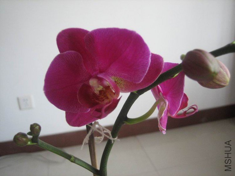 ��Ƭ 025.jpg