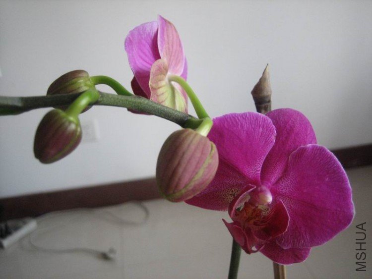��Ƭ 028.jpg