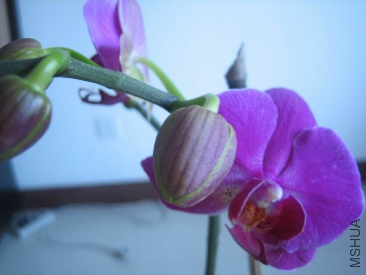 ��Ƭ 019.jpg