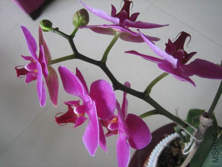 ��Ƭ 054.jpg