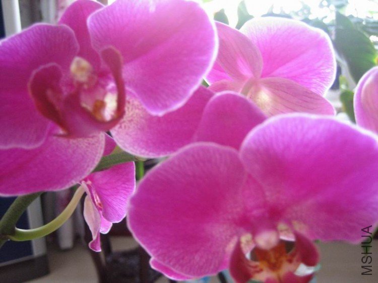 ��Ƭ 087.jpg