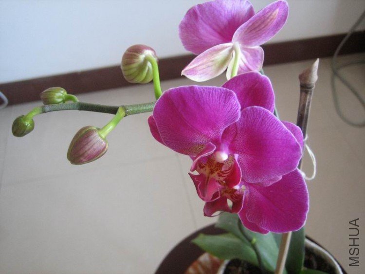 ��Ƭ 033.jpg