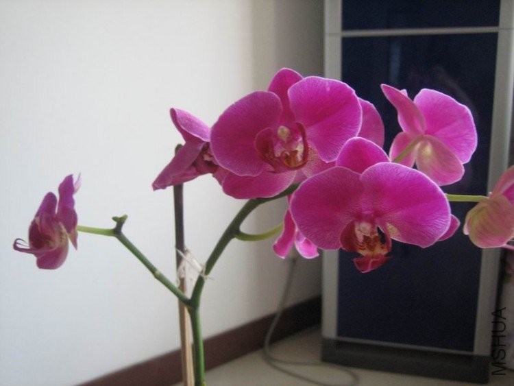 ��Ƭ 071.jpg