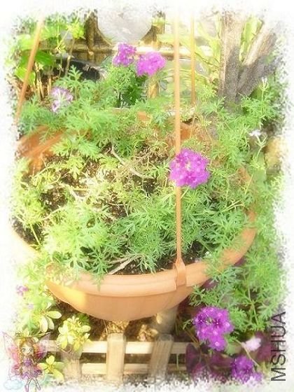 ��Ůӣ��Ҳ��ȥ��ܵá�������������Ҳ�������������ɹ�һ�Σ������е�ϡ��������Ů���¸ɵġ�