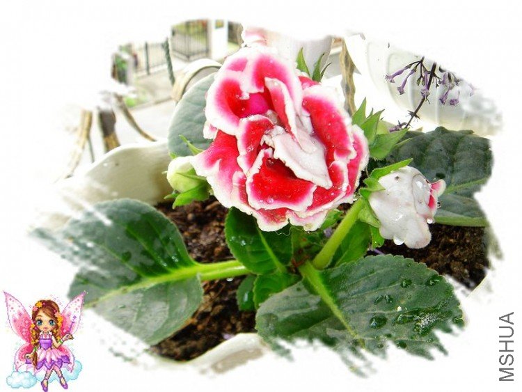 ����ͩ������~~