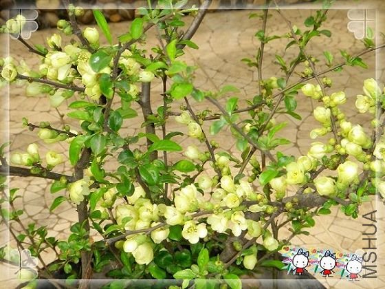 3�·ݿ�����������~~Ҳ��ż��ϲ����~~��ź�������ͷ�ˣ�������ż�Σ�ż�Ѿ��չ��������꣬������ô��~