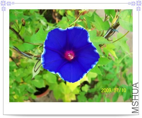 ���տ��� 054.jpg