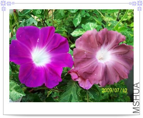 ��ɫ��֮�� 026.jpg