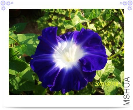 ��֮�� 045.jpg