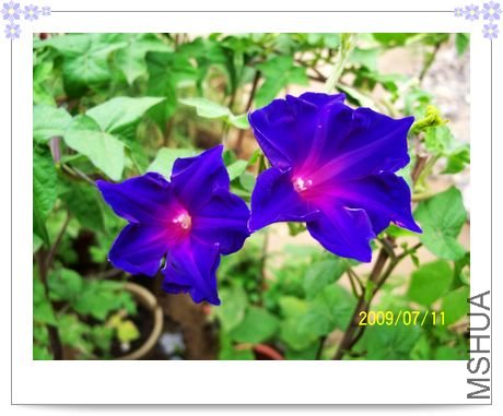 �۹��� 075.jpg