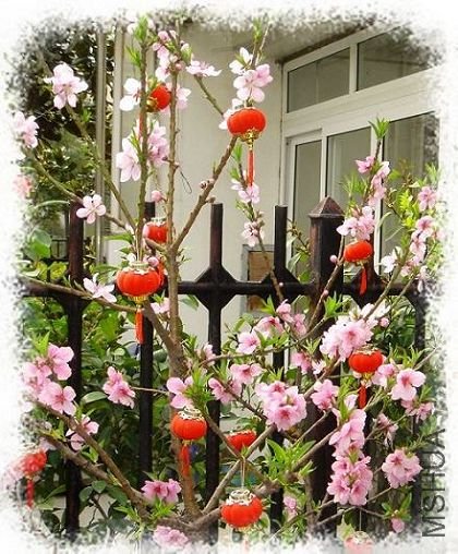 ����һ��~