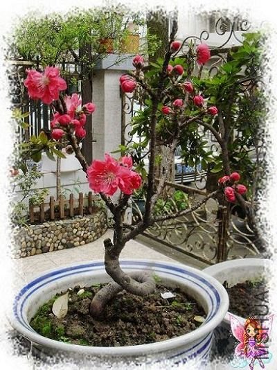 ���Ҳ�������ˣ���������ǰ���һ�������o(��_��)o..