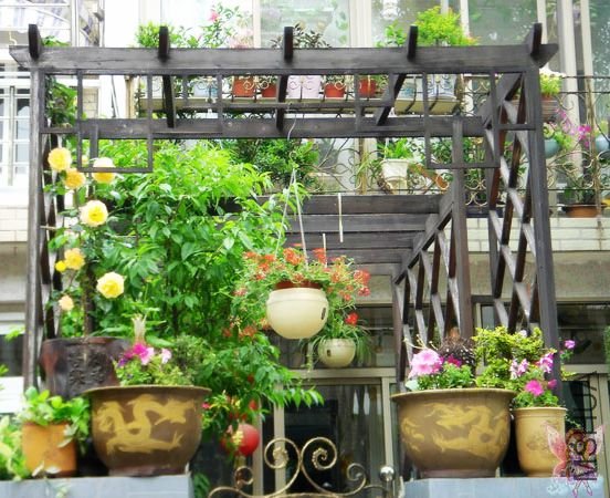 ���ż��Ϸ���¥��һ�Ų����������´��ȫ���������������ٽ���������