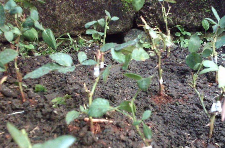 090712.JPG