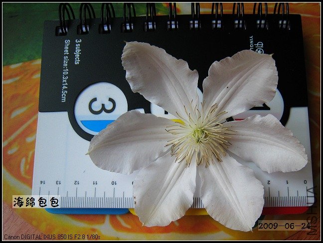 �����ĵ�һ��