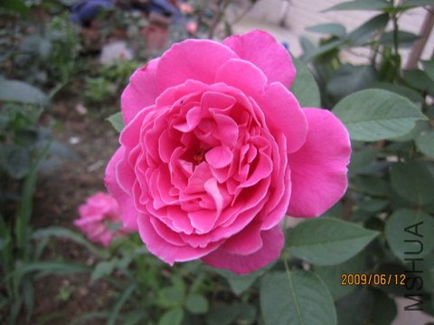 IMG_0387.JPG