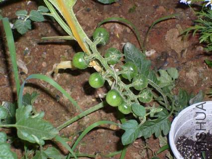 ������С S7000690.jpg