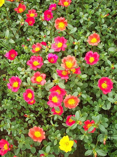 101_6399.jpg