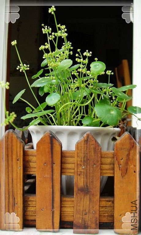 żһֱ����С�裬��Ҫ������~~