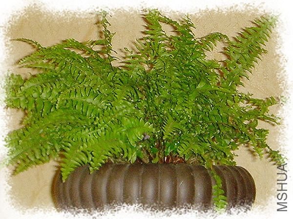 ����ǽֽ��Ե�ʣ��ĵò������