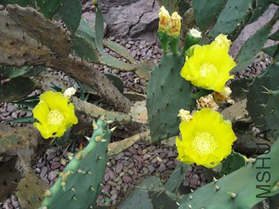 ͬ��5��1�ڹ����������ĵ�������.jpg