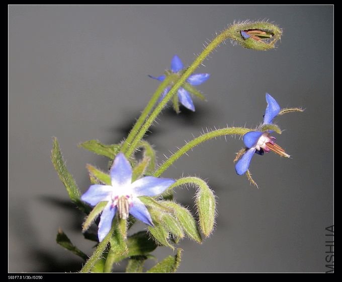 �����ʲô��Ҳ������