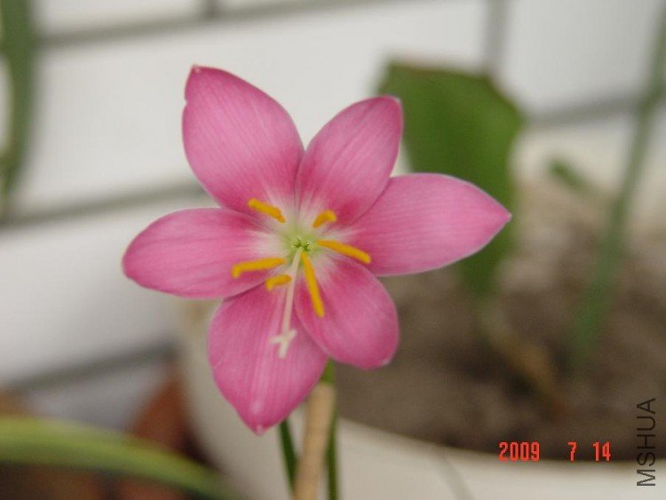 DSC03201.JPG