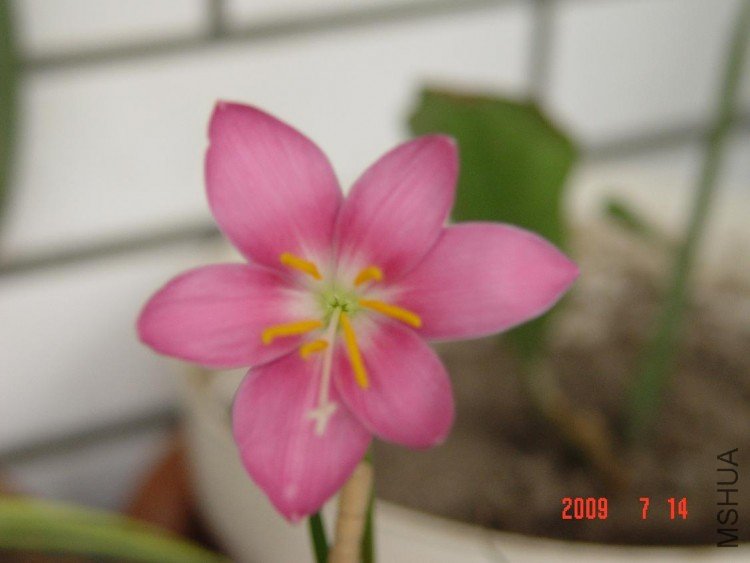DSC03203.JPG