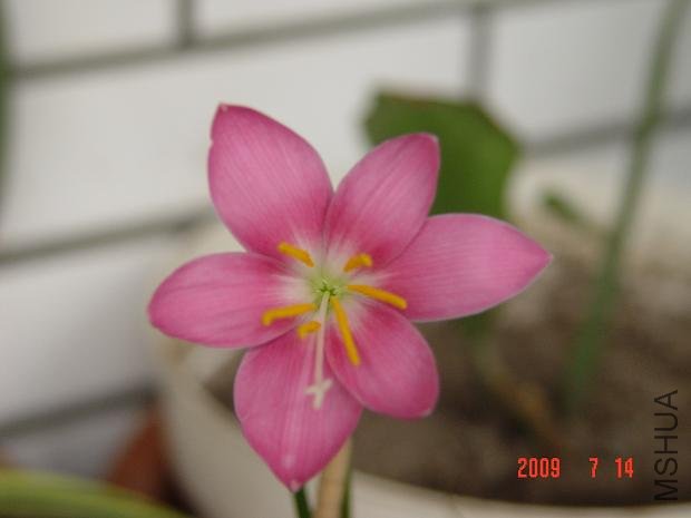 DSC03202.JPG