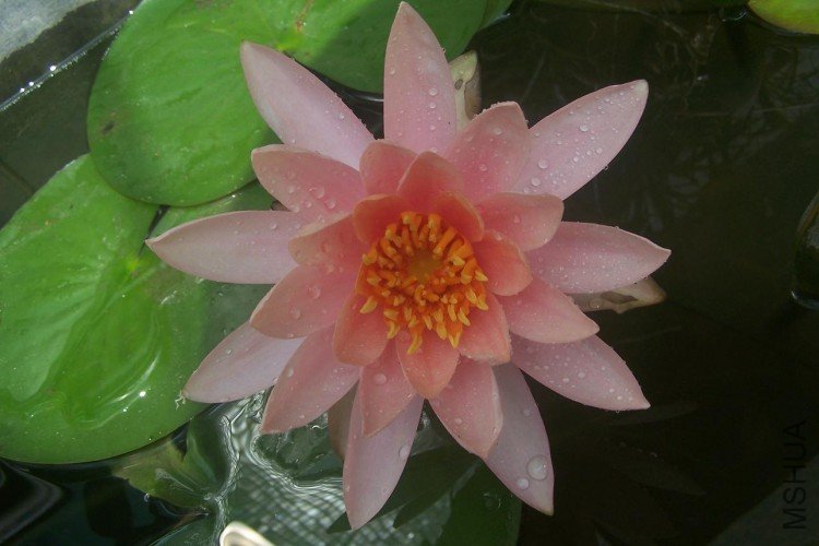 ��������,����ֻ������,���쿪���Ķ�!