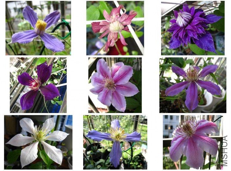 2009-07-14 ����С��-1.jpg