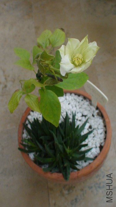 ����ȫ����! ��������С��! ����ֲ��Ҳ��С!