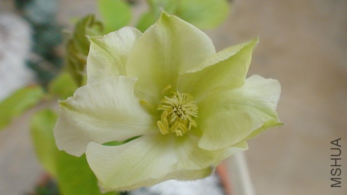 7-14��, ������! ����дһ��! �ǽӽ���ɫ�Ļ�!