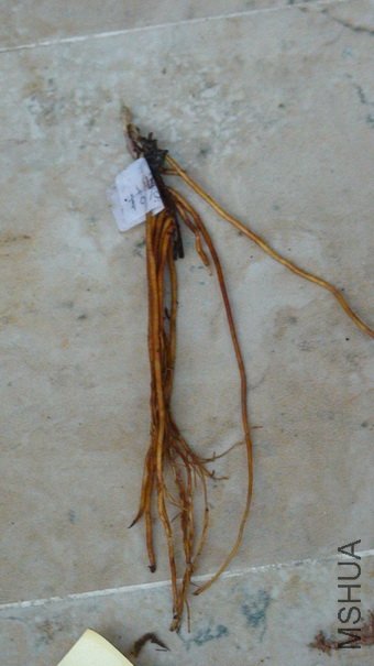 ����12-25��, ����ʱ�������!