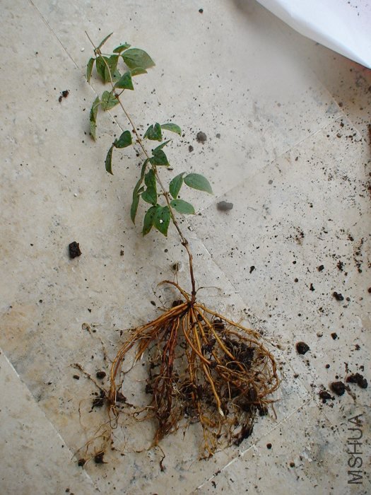 ����ϴ���������! �����µ�С��, ���沿�־�һֱ���������! �������Ҳ�����! ԭ������Ŭ��������!