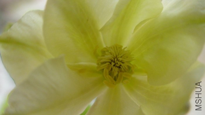 ����������!  ���ﻹû��ȫ�򿪵�����, ������崿����Ů!