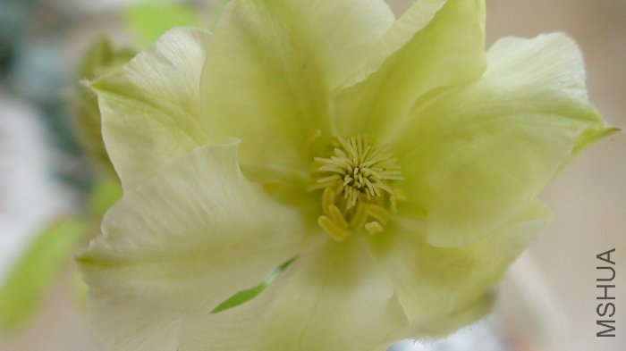 ��������! �������!