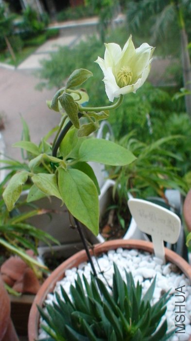 7-14��, ���ٽ�һ�ܾͿ�����!