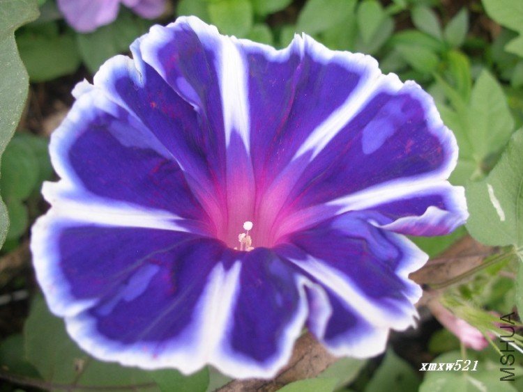 ������Ǹ�ʿ֮�ϣ��ѵ��Ǹ�ʿ֮��