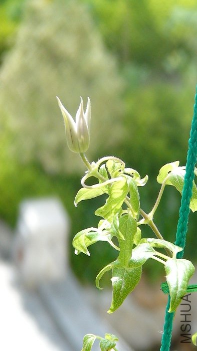 7-14��, ����ʮ���, ��Ȼ������! ��Ȼ��, ����С!