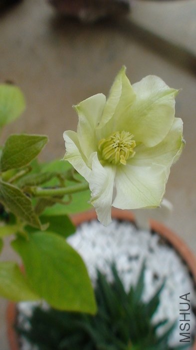 ���Ǵ�ͷ��!