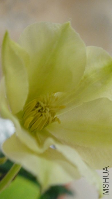 ������д! ���ſ���ѡ�����ĵò�̫�����! �е���������!