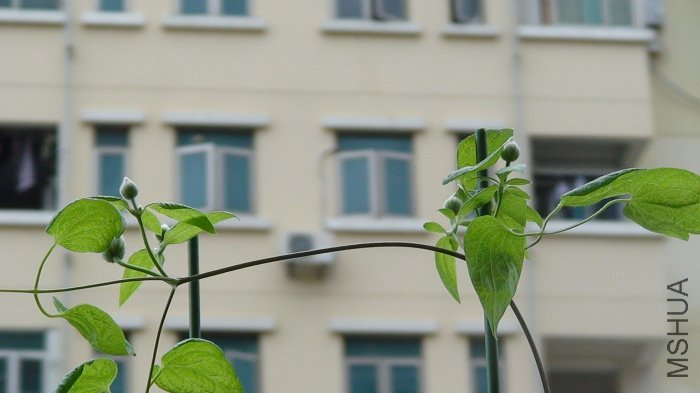 7-4��, 10��ǰ, ��ȫ�ǻ���!