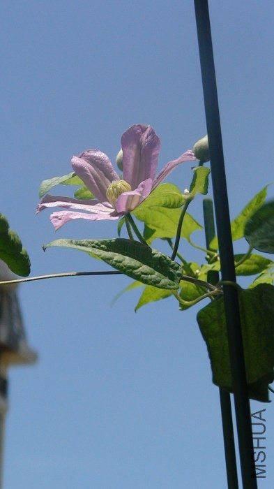 7-7��, ��ɫ�ĵڶ���, �����ȿ���! ���Ѿ������ȿ�����ѽ!